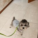 제니스동물병원 이미지