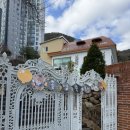 자연아이유치원 | 첫조카 유치원 졸업후기 숲속자연유치원 졸업식