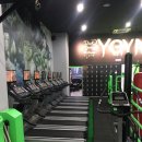 Y-GYM 이미지