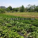 월영모텔 - 10754 | 월영모텔