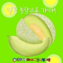 쌍용농장 이미지