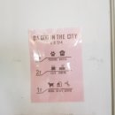 다독(Da Dog) 이미지