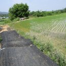 (구)풍천중학교 이미지