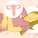 헤어뉴스(HAIR NEWS)