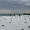 왕왕상사 이미지