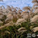 왜포연대 이미지