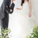 W5. 대구 비비엔다 스튜디오 웨딩촬영 후기