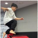 성신 태권도 이미지