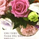 일배움터