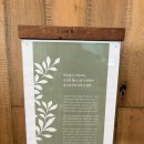 진정한;벌꿀 | [강원/정선] 파크로쉬 리조트앤웰니스 조식 후기 | 진정한 '힐링리조트' 끝판왕⭐️ 부모님 모시고가기...