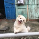 예