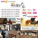 컴패니멀