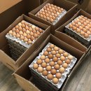 서석농장 이미지