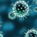 안양슈퍼 이미지