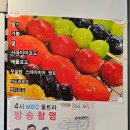 울산 중구 반구동 에그타르트 유명한 카페 [디와이커피] 내돈내산 솔직후기