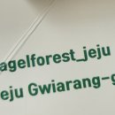 제주소금빵베이글포레스트