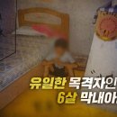 장미비디오 티스토리