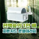 피톤치드 온열 테라피란? 이미지