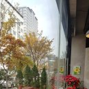 우리동네빨래방 이미지