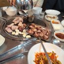 미듬도야지 | 대구 맛집 추천) 출장, 여행 중 가볼만한 대구 맛집,카페후기