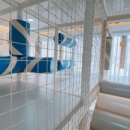 뜨레놀레 키즈풀빌라 이미지