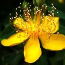 기분좋은날 이미지