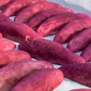 카페인생이야기 이미지