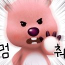 올쓰 네이버블로그