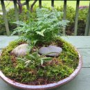 미니정원 이미지