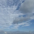 (주)서진팜 | sub ) 일상 블로그를 가장한 먹방 블로그 。。 | 일하고먹고일하고먹고 | 백수 일상