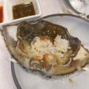 다연 정식 이미지