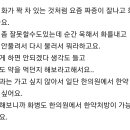 Re: 어깨 통증치료 받고 싶어요 이미지