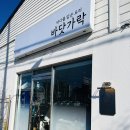 속초 맛집 애견 동반 식당 바닷가락
