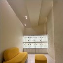 인천강아지분양 홍스퍼피 본점 | 송도강아지분양 인천강아지분양 홍스퍼피 본점 거품 없는 분양가와 투명한 상담