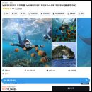 조우커뮤니케이션 | 발리 누사페니다 스노쿨링 만타가오리 투어 조우 확률, 가격 준비물 시즌 정리
