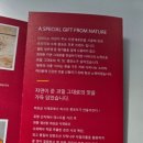 다피나(DAFINA) 이미지