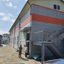 자연과 건강(산야초 이야기) 이미지