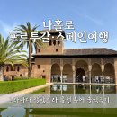 그날그날 | [그라나다 여행] 알함브라 궁전 투어 내돈내산 솔직후기! (예약 시간 꿀팁 / 마이리얼트립)