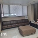 감귤약국 이미지