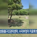 전북야생동물구조관리센터 이미지