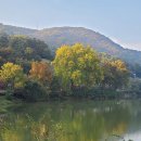 강변에서 이미지