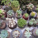 자연의집 이미지