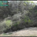 주을길천 이미지