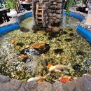 면목동-007 이미지