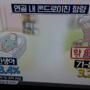 영광채소