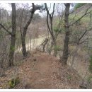 오동골1 이미지