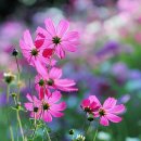 명장2동-18 이미지