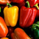 피망(piment)