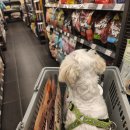 폴리파크 서면점 이미지