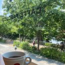 소마무브 | 송파 : 올림픽공원 뷰카페 파스쿠찌 소마미술관점(feat.박재범콘서트)